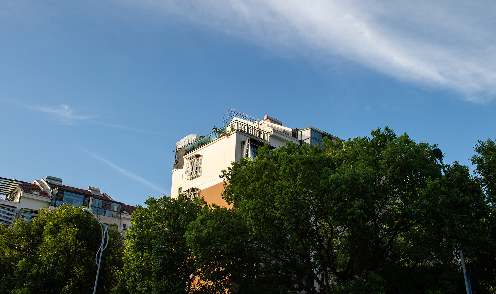 蓝天下的建筑与树木，展示日常扫街视角