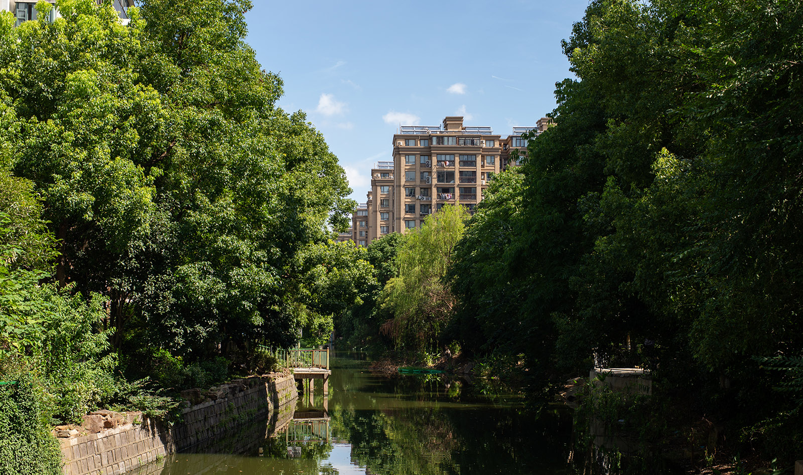 河边风景实拍样张,展示色彩还原